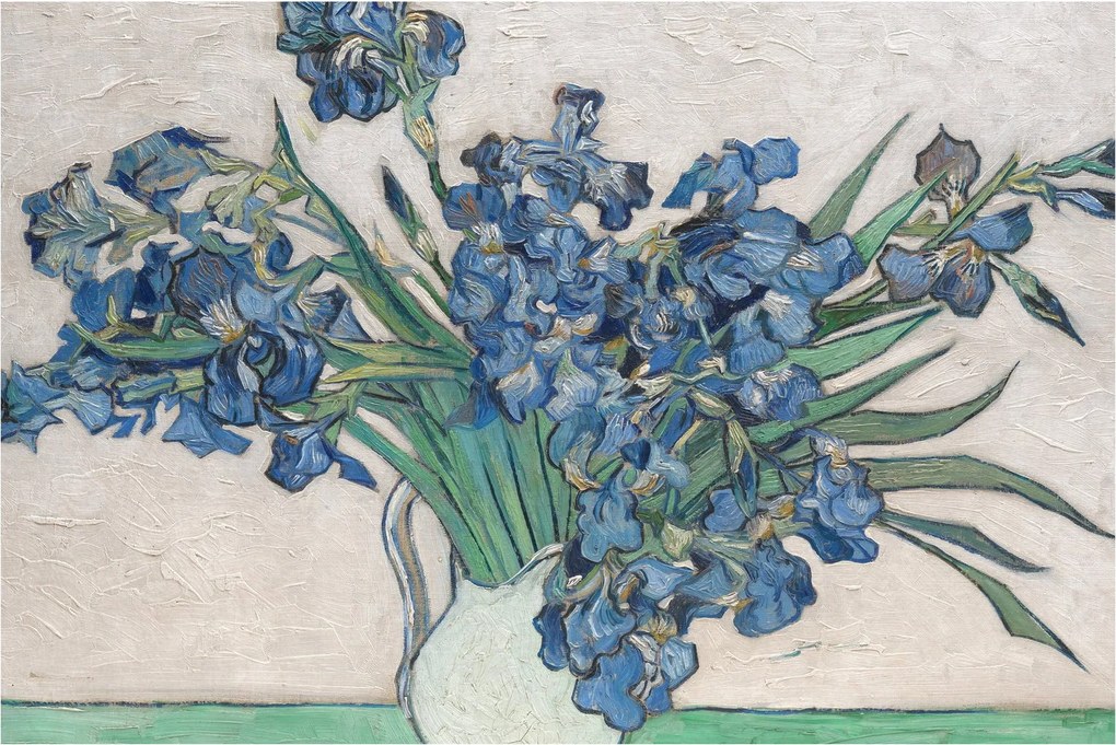 Obraz - Vincent van Gogh, Irises, reprodukcia (90x60 cm)