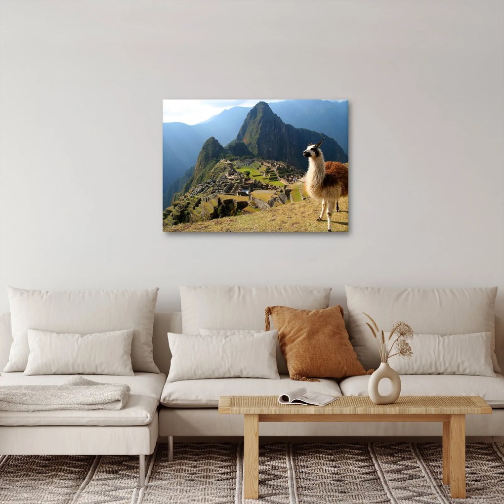 Obrázok - Lama a Machu Picchu (70x50 cm)