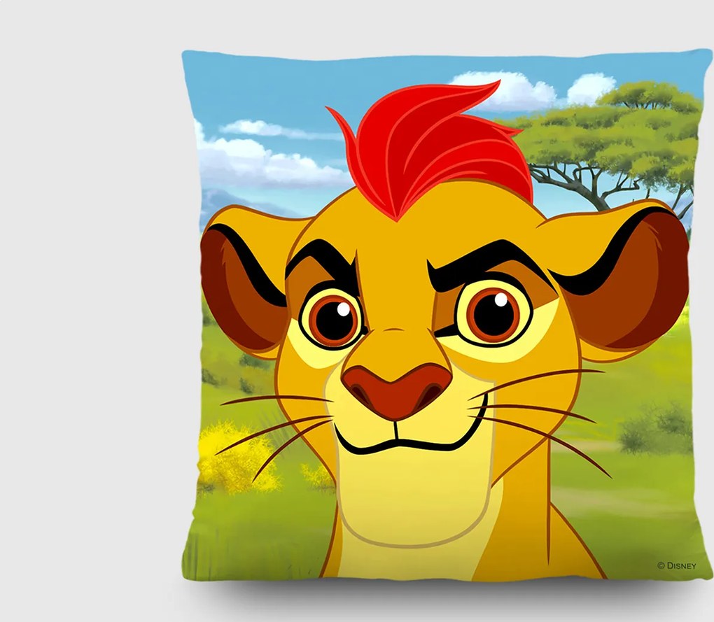 Detský vankúšik DISNEY levy hliadka 40x40 cm