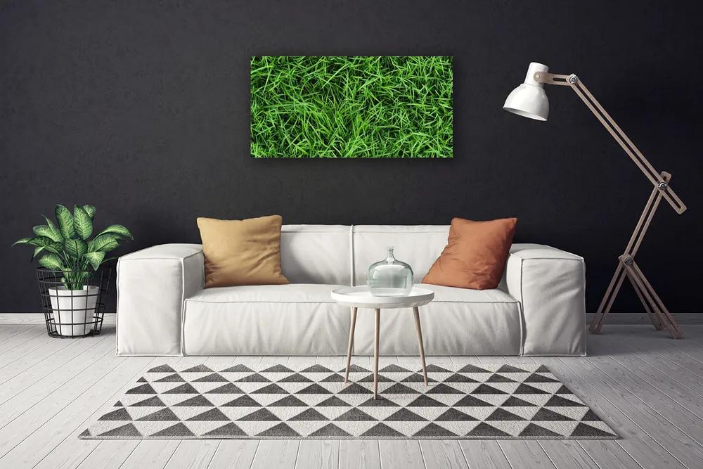 Obraz na plátne Tráva trávnik 120x60 cm