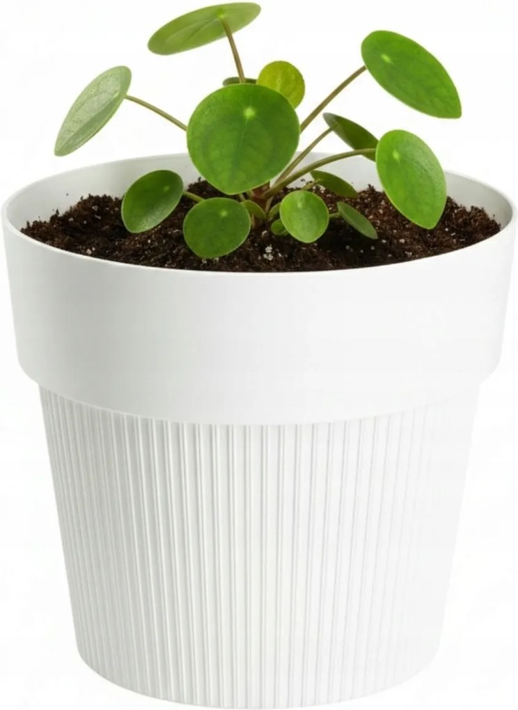 Sada 4 ks květináčů Silva Line krémová