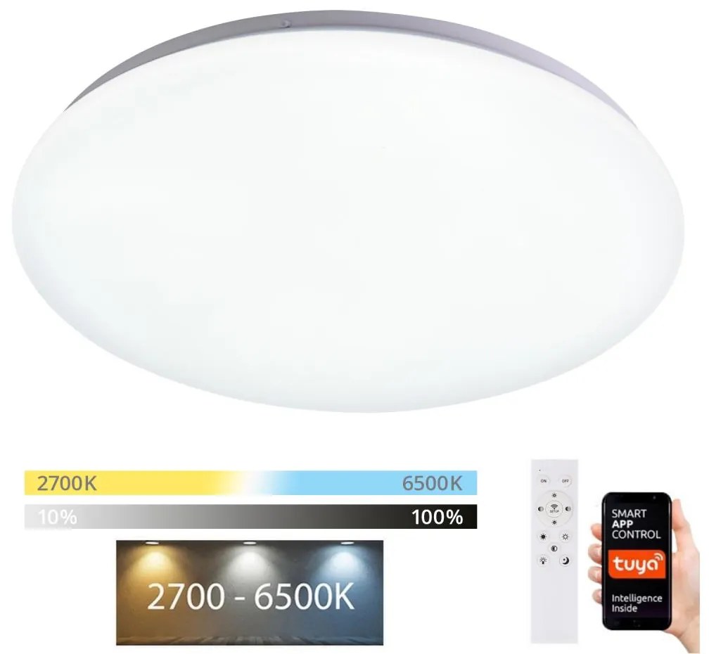 Brilagi Brilagi - LED Stmievateľné stropné svietidlo SMART LED/36W/230V Wi-Fi Tuya + DO BG0496