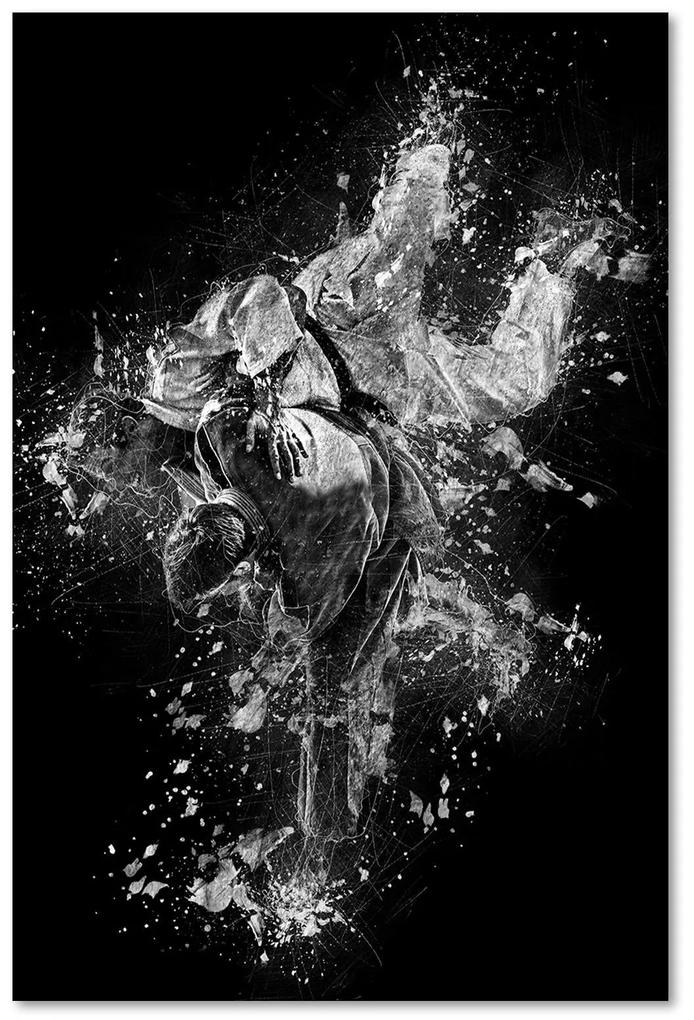 Gario Obraz na plátne Judo - Cornel Vlad Rozmery: 40 x 60 cm