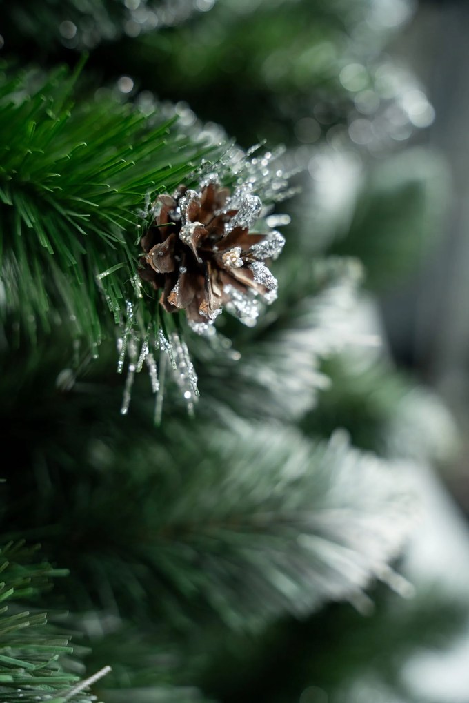 Limpol Vianočný stromček Borovica Verona Výška stromčeka: 150 cm