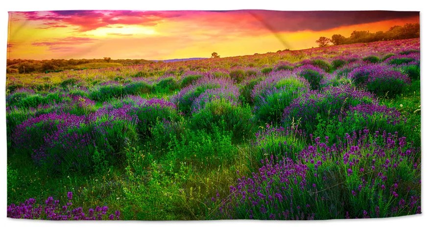 Sablio Uterák Levanduľové pole - 50x100 cm