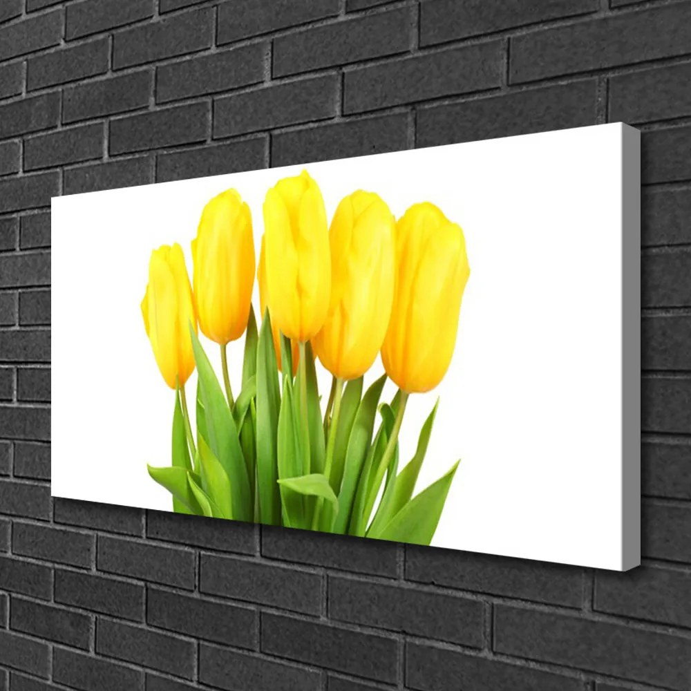 Obraz Canvas Tulipány kvety rastlina 120x60 cm