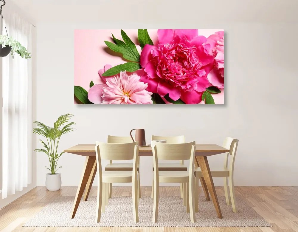 Obraz pivonky v ružovej farbe Varianta: 100x50