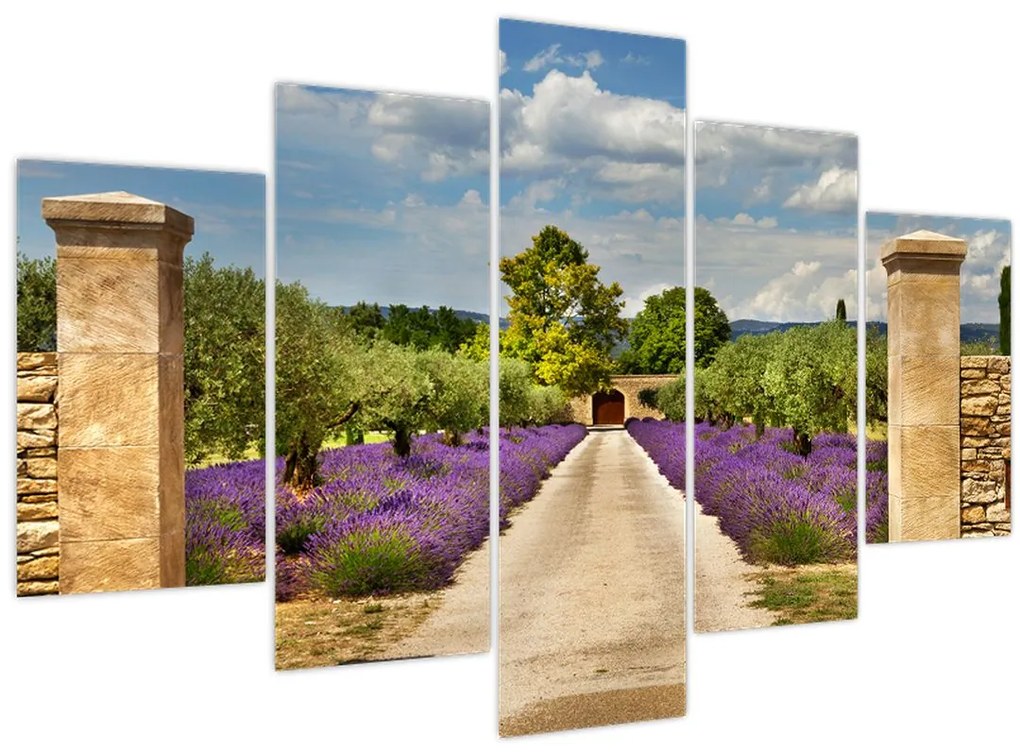 Obraz - Levanduľové cesty (150x105 cm)