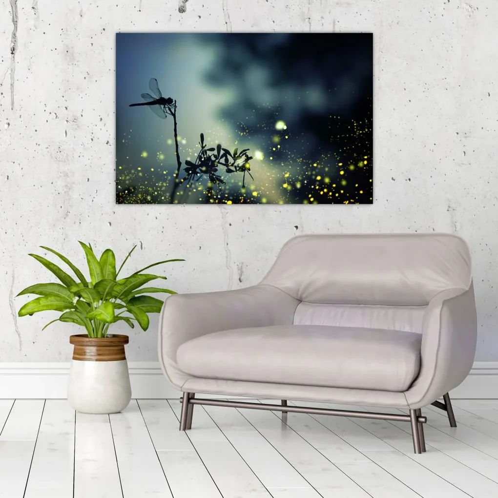 Obraz - Vážka za trblietavej noci (90x60 cm)