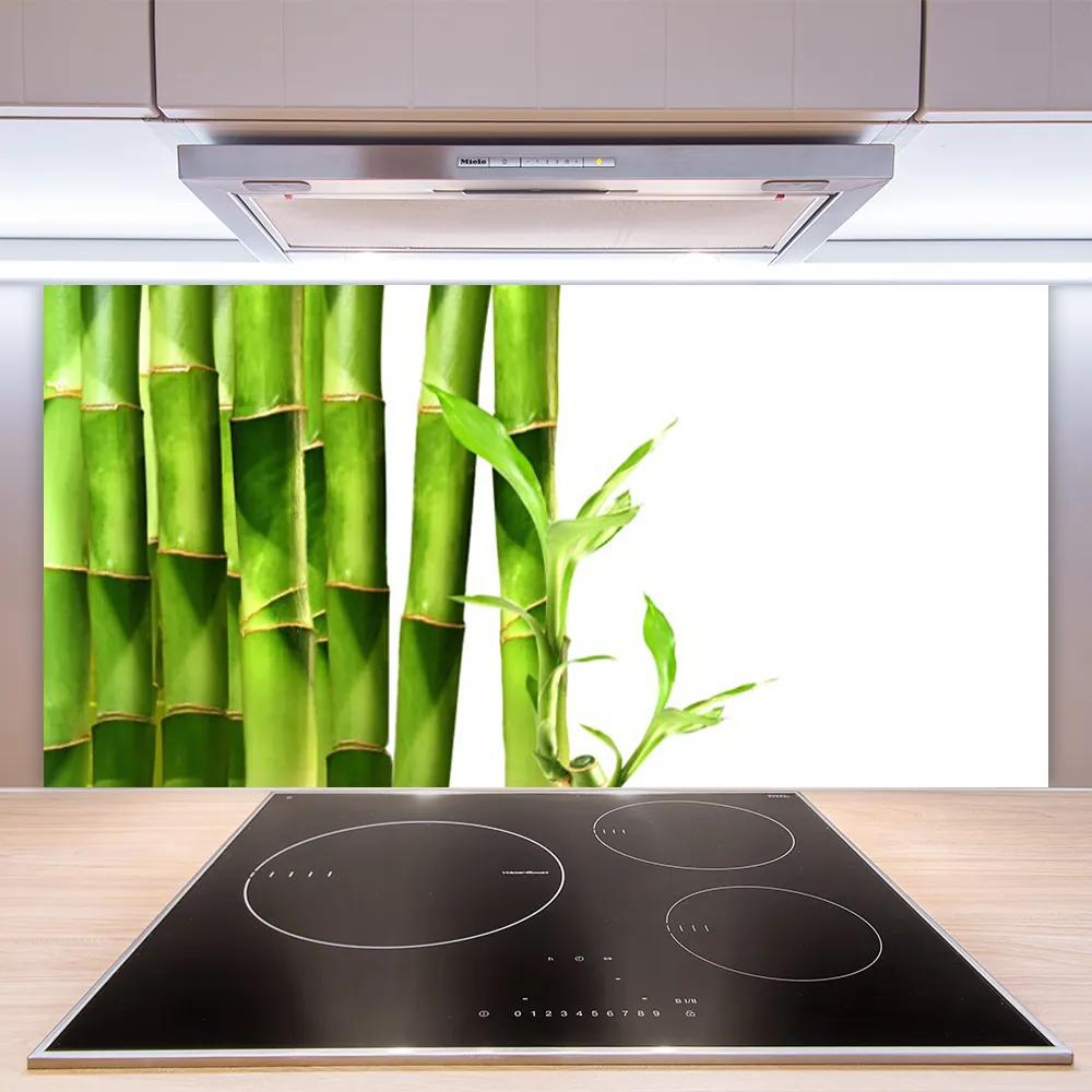 Nástenný panel  Bambus rastlina 125x50 cm
