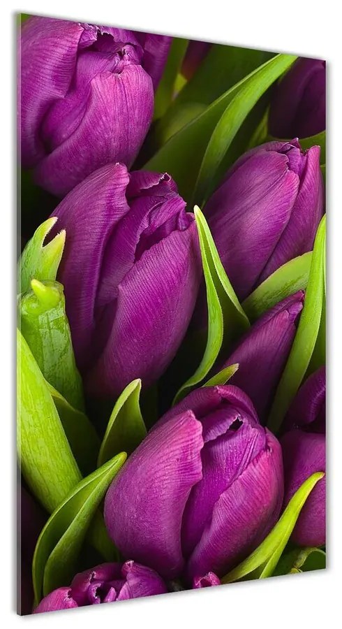 Foto obraz akrylový Fialové tulipány pl-oa-70x140-f-89975331