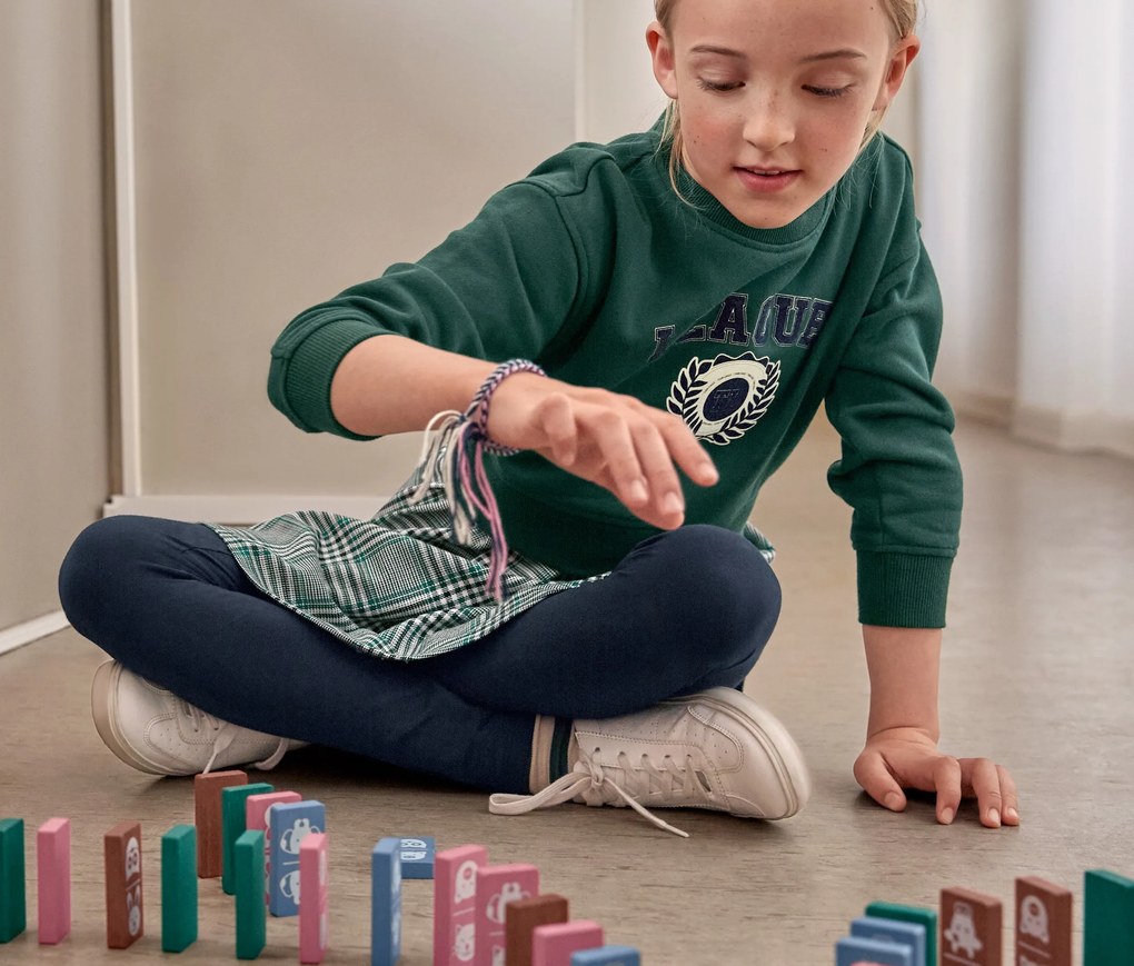 Domino so zvieracími motívmi