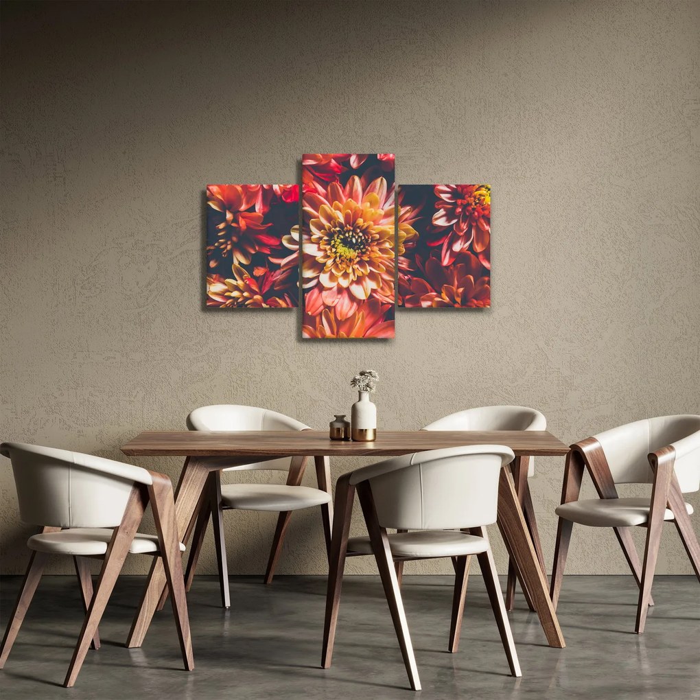 Obraz - Chryzantémy (90x60 cm)
