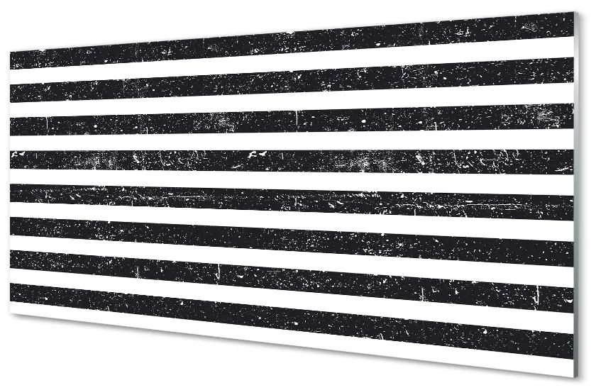 Sklenený obraz Zebra pruhy škvrny 100x50 cm