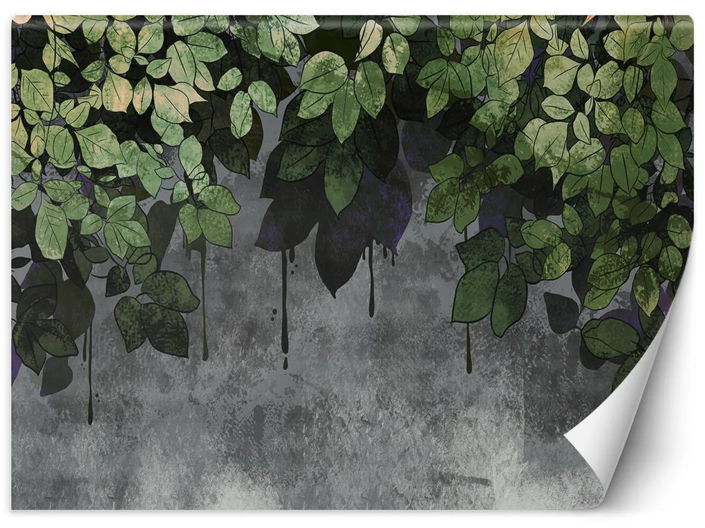 Gario Fototapeta Zelené listy na betónovom pozadí Materiál: Vliesová, Rozmery: 200 x 140 cm