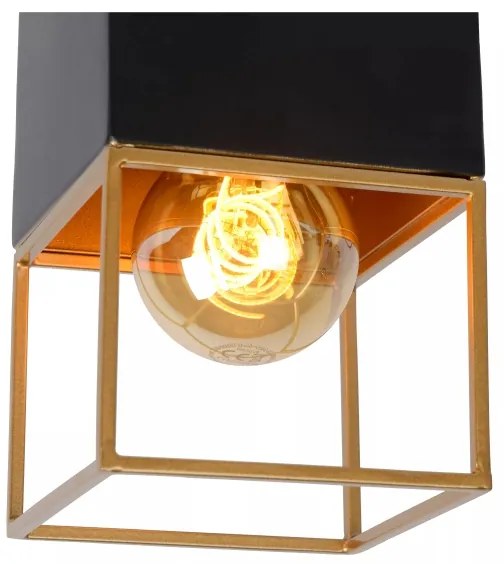 Lucide 21120/01/30 - Stropné svietidlo RIXT 1xE27/40W/230V