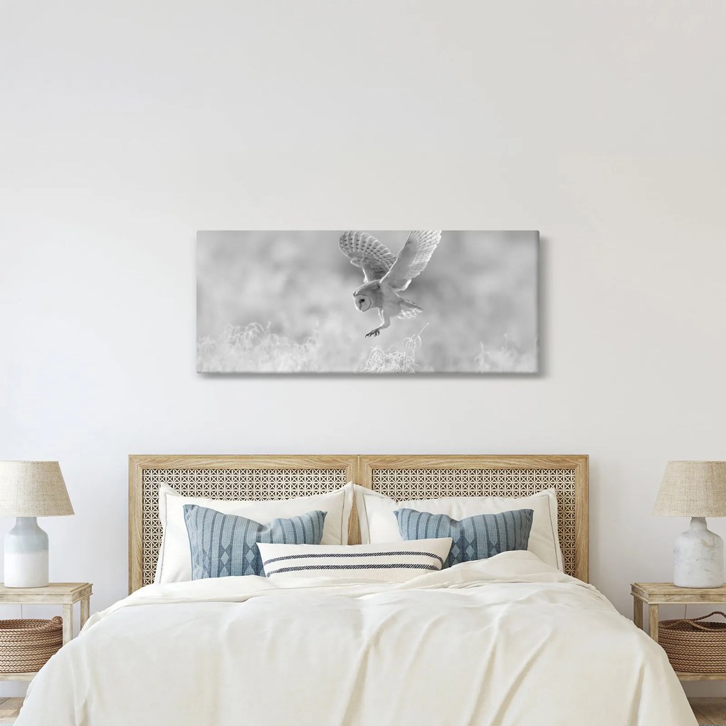 Obraz - Sova v poli (120x50 cm)