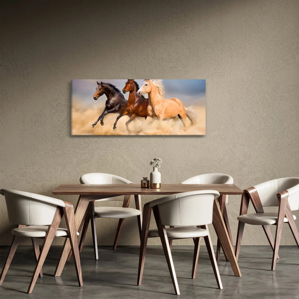 Obraz - Divé kone (120x50 cm)
