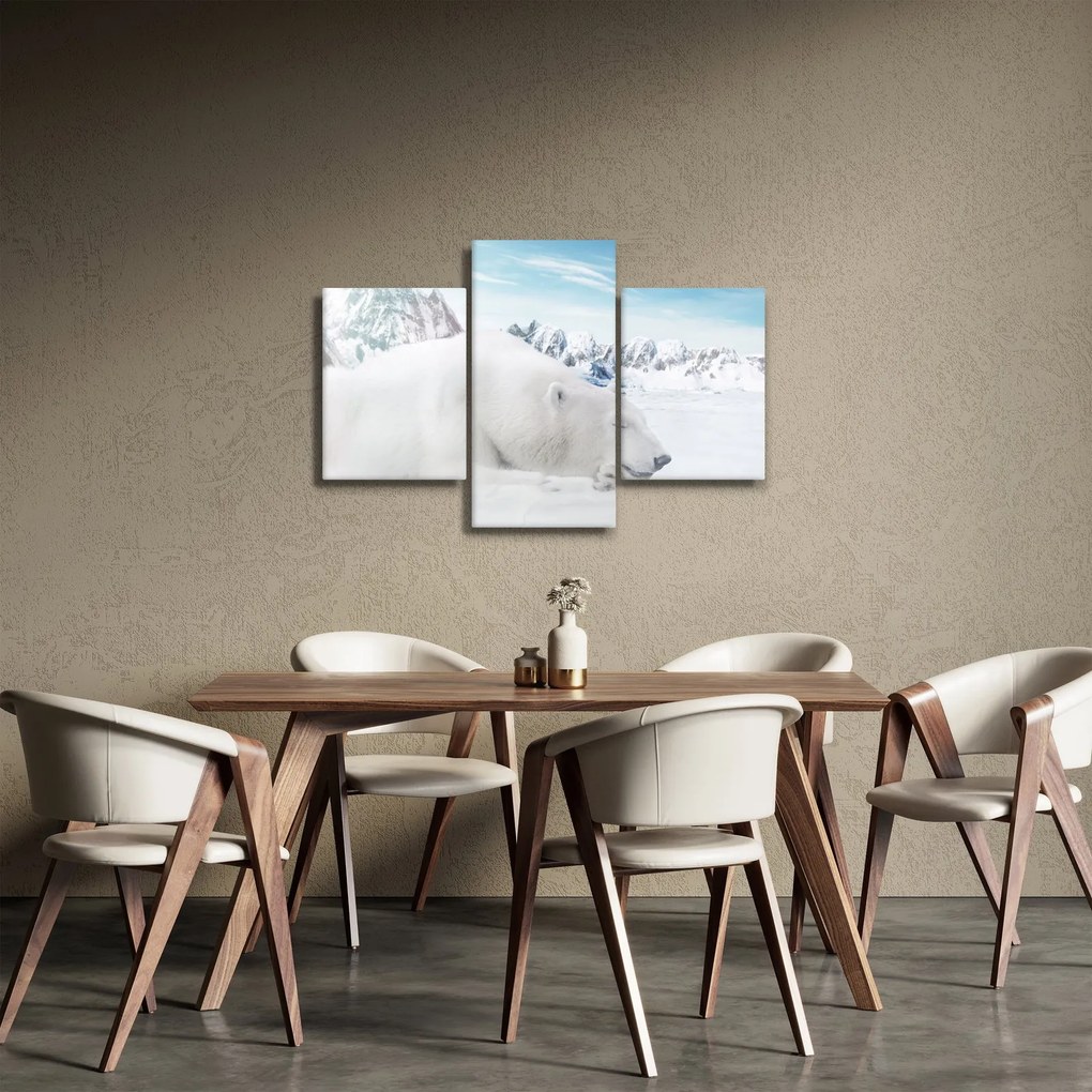 Obraz - Ľadový medveď (90x60 cm)