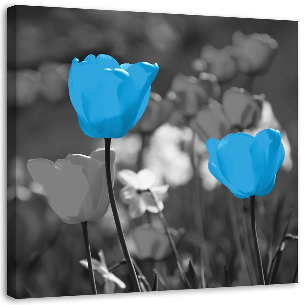 Gario Obraz na plátne Modré tulipány na lúke Rozmery: 30 x 30 cm