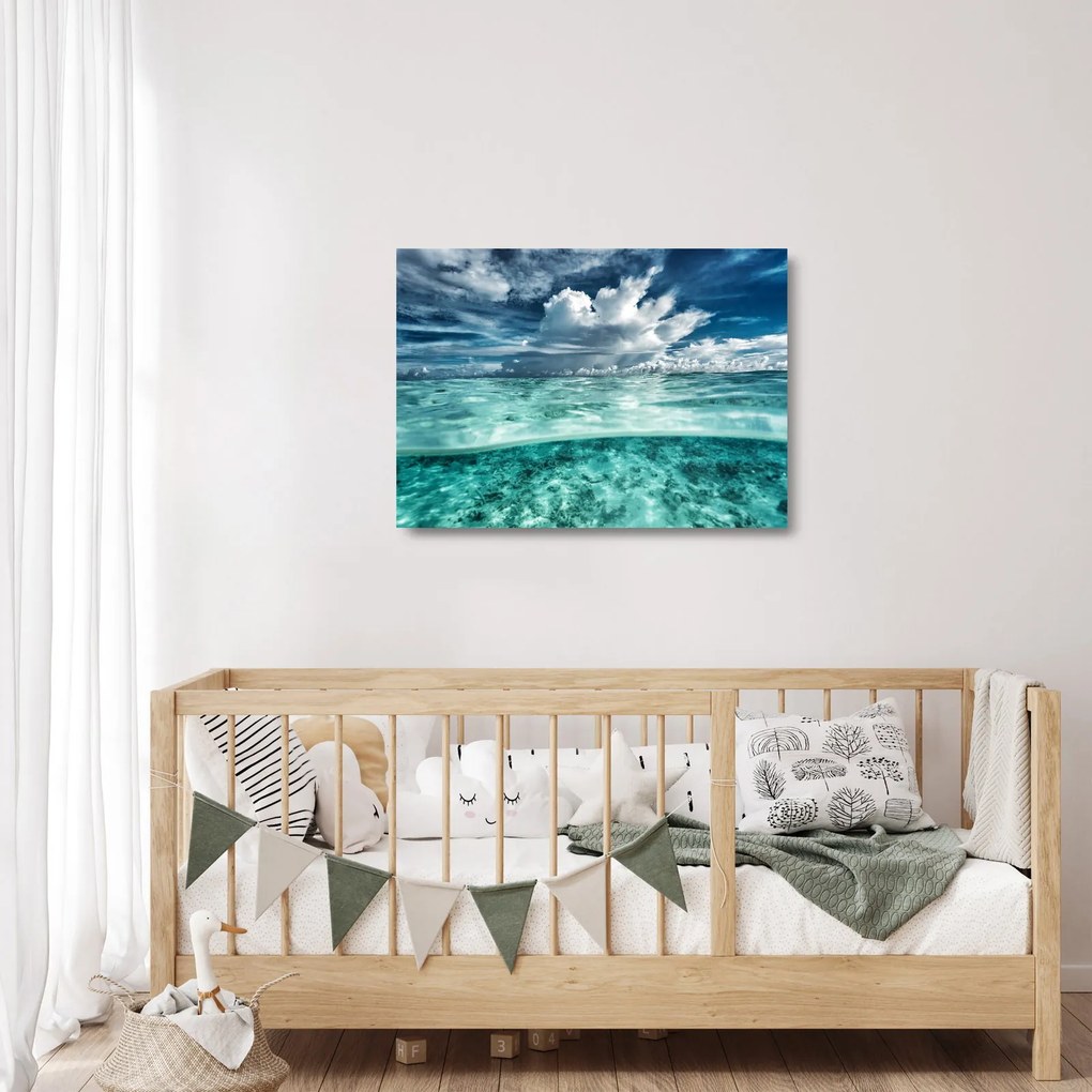 Sklenený obraz - Pohľad pod morskú hladinu (70x50 cm)