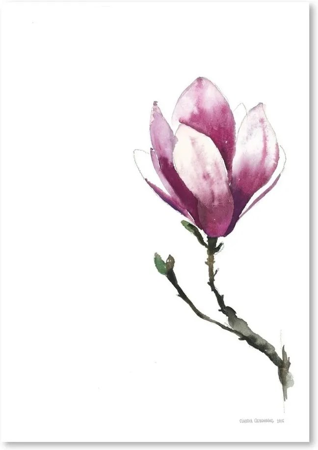 Plagát Americanflat Magnolia II by Claudia Libenberg, 30 × 42 cm