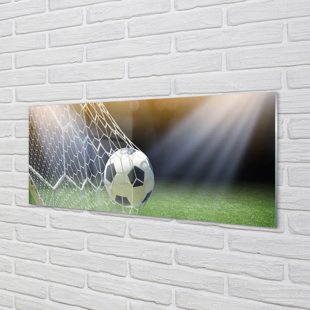 Obraz plexi Futbalový štadión 120x60 cm