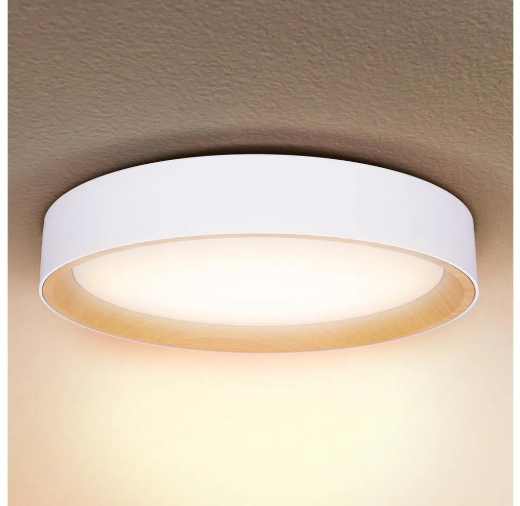 Brilagi -LED Stmievateľné svietidlo LARIOS LED/60W/230V 3000-6500K ø 49 cm biela+DO