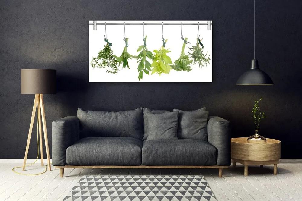 Obraz plexi Listy príroda byliny 120x60 cm