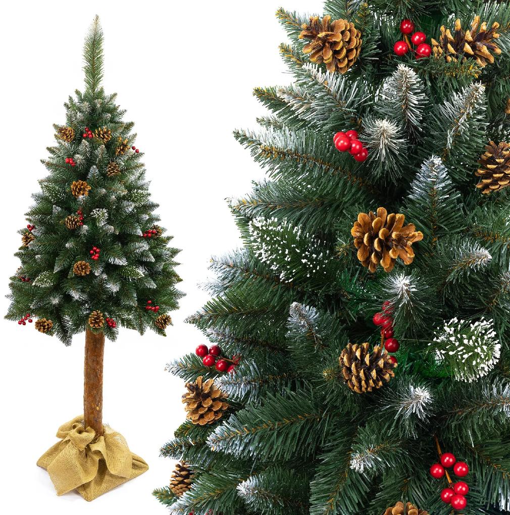 Vianočný stromček Borovica diamantová s jarabinou na pníku 180 cm