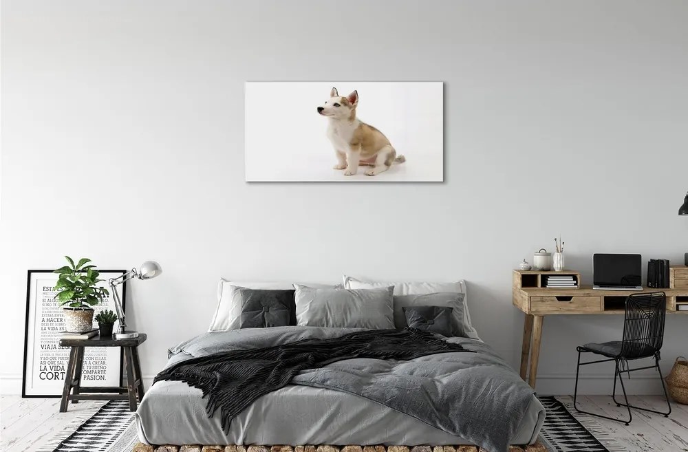 Sklenený obraz Sediaci malého psa 140x70 cm