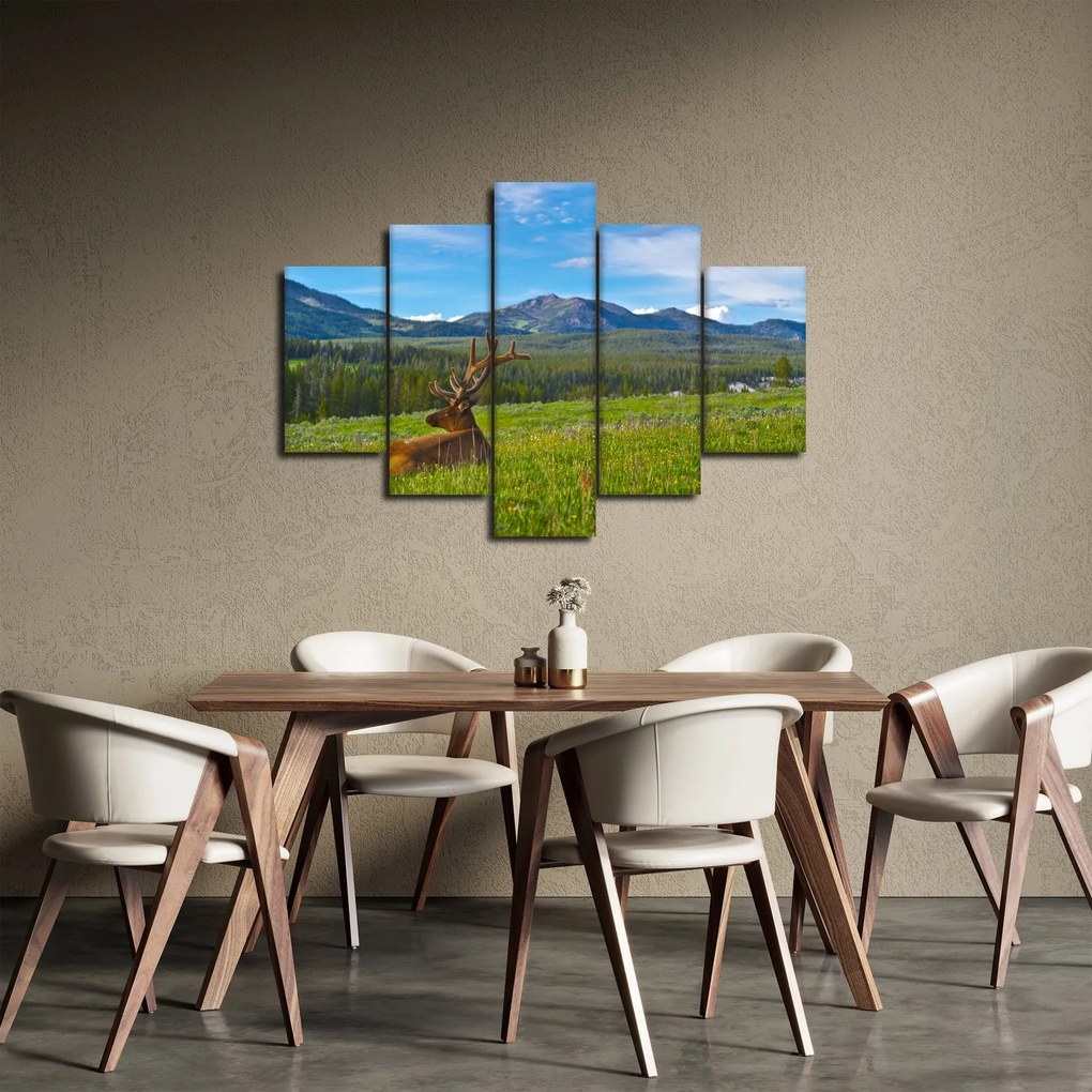 Obraz - Jeleň v lúke (150x105 cm)