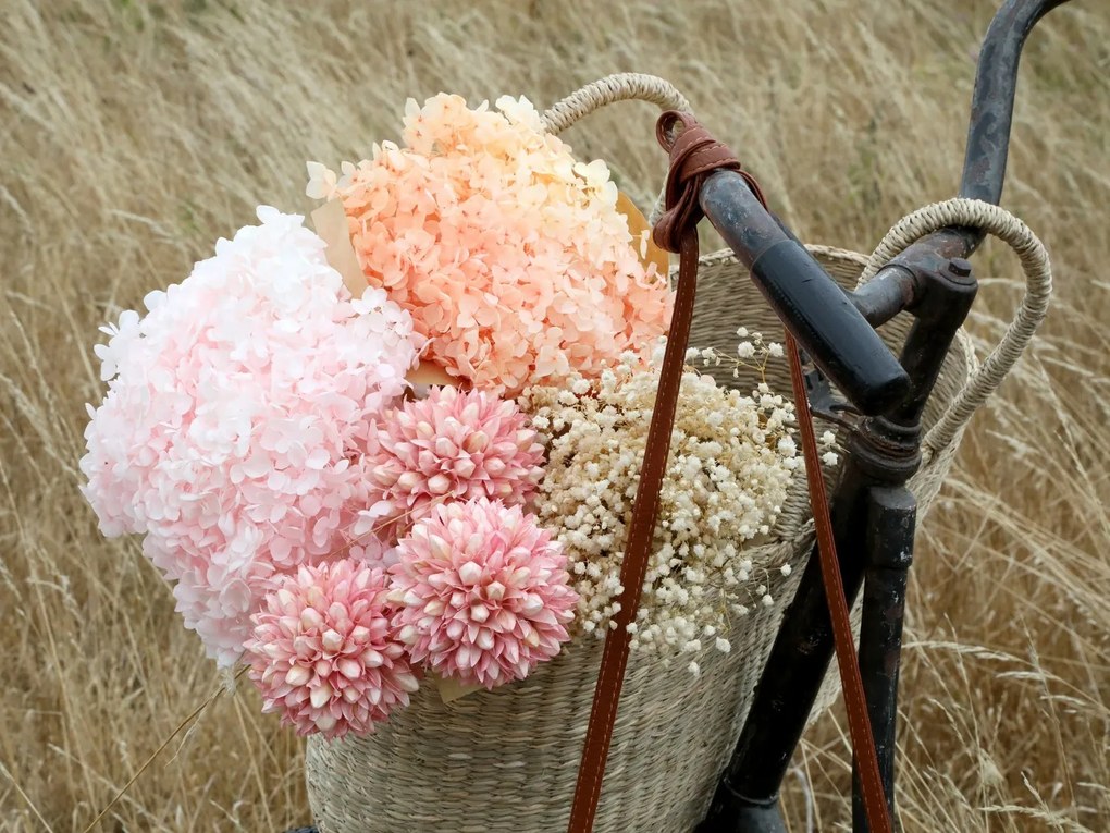 Dekorácia sušená kvetina Baby's Breath Flowers - 77 cm