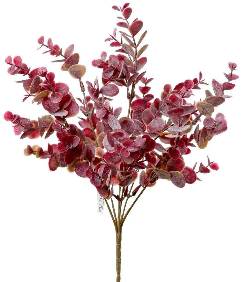 ZÁPICH EUCALYPTUS FIALOVÝ 35CM