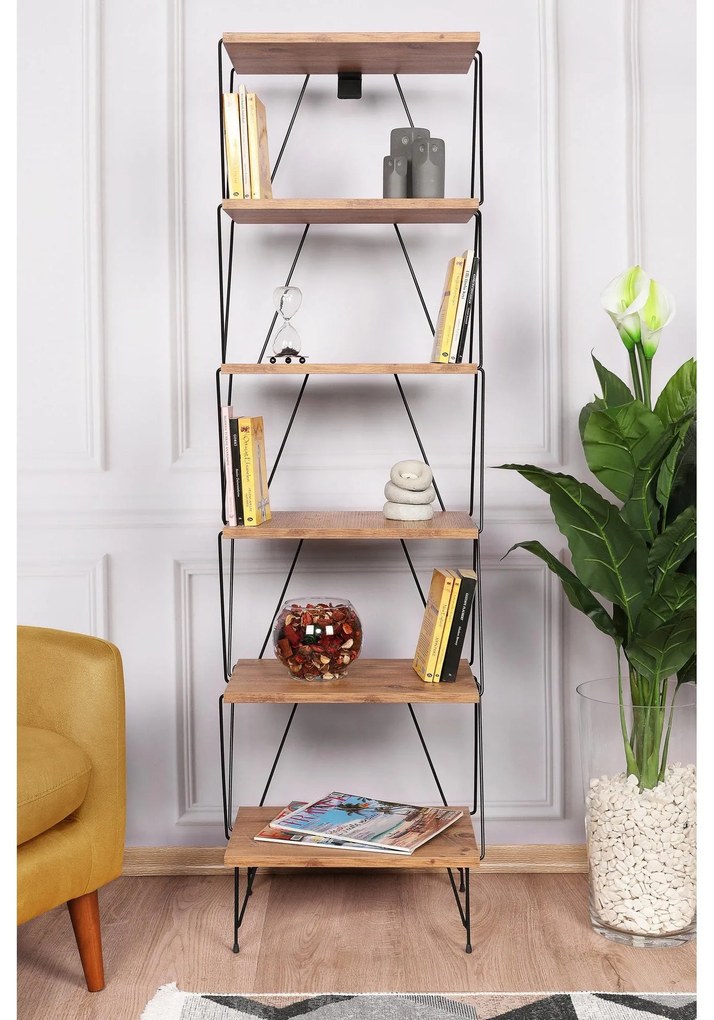 Knižnica Balaban - Pine