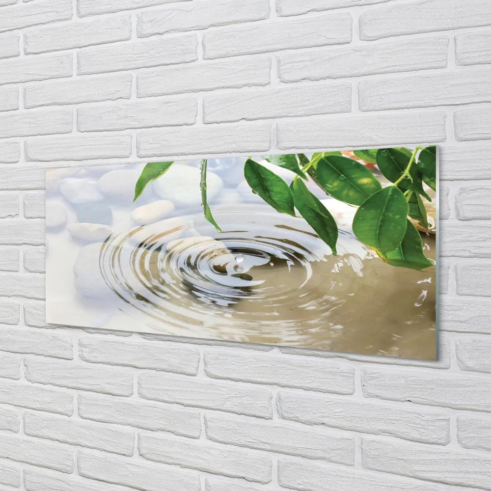 Obraz plexi Pokles striekajúcej vode 120x60 cm