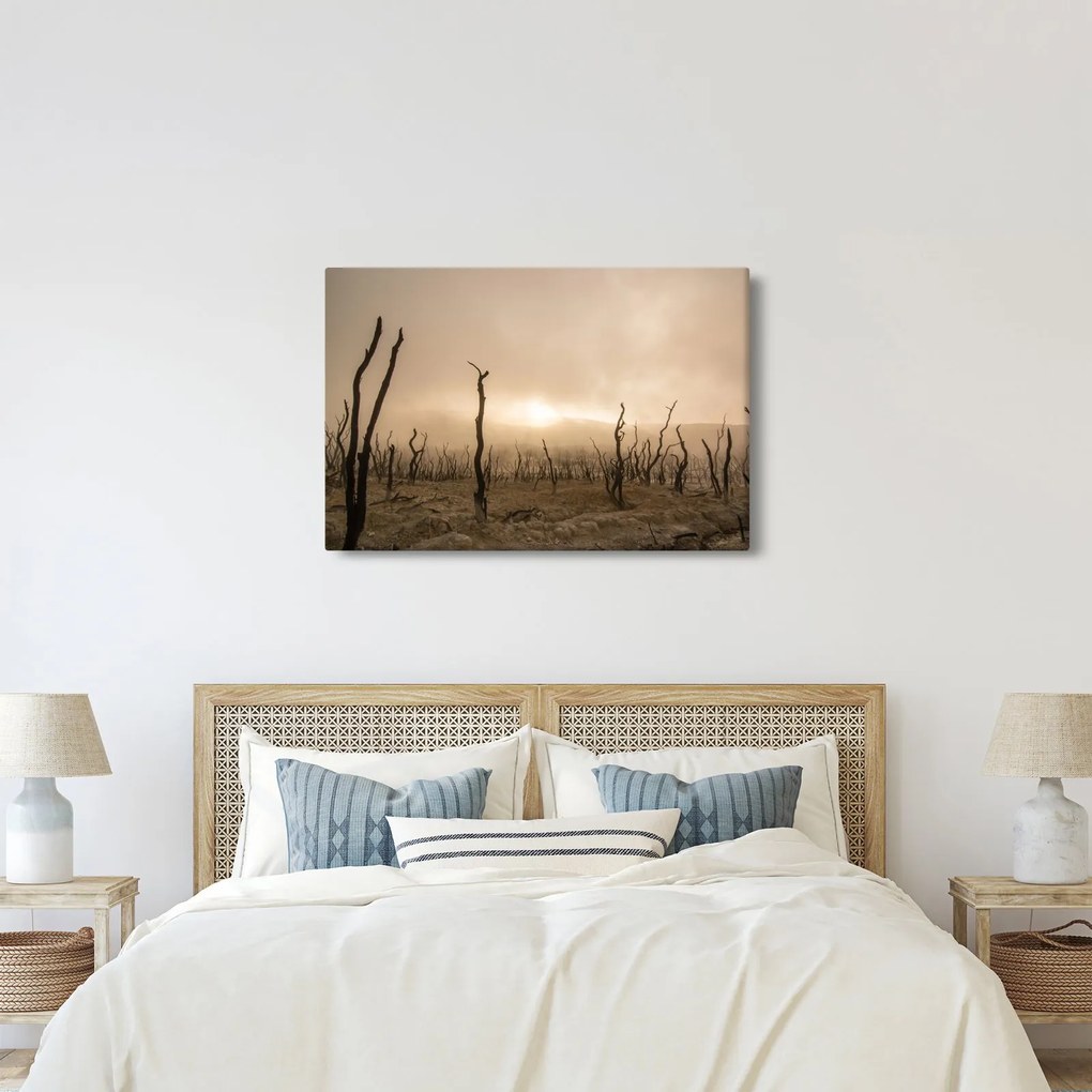 Obraz - Holé stromy (90x60 cm)