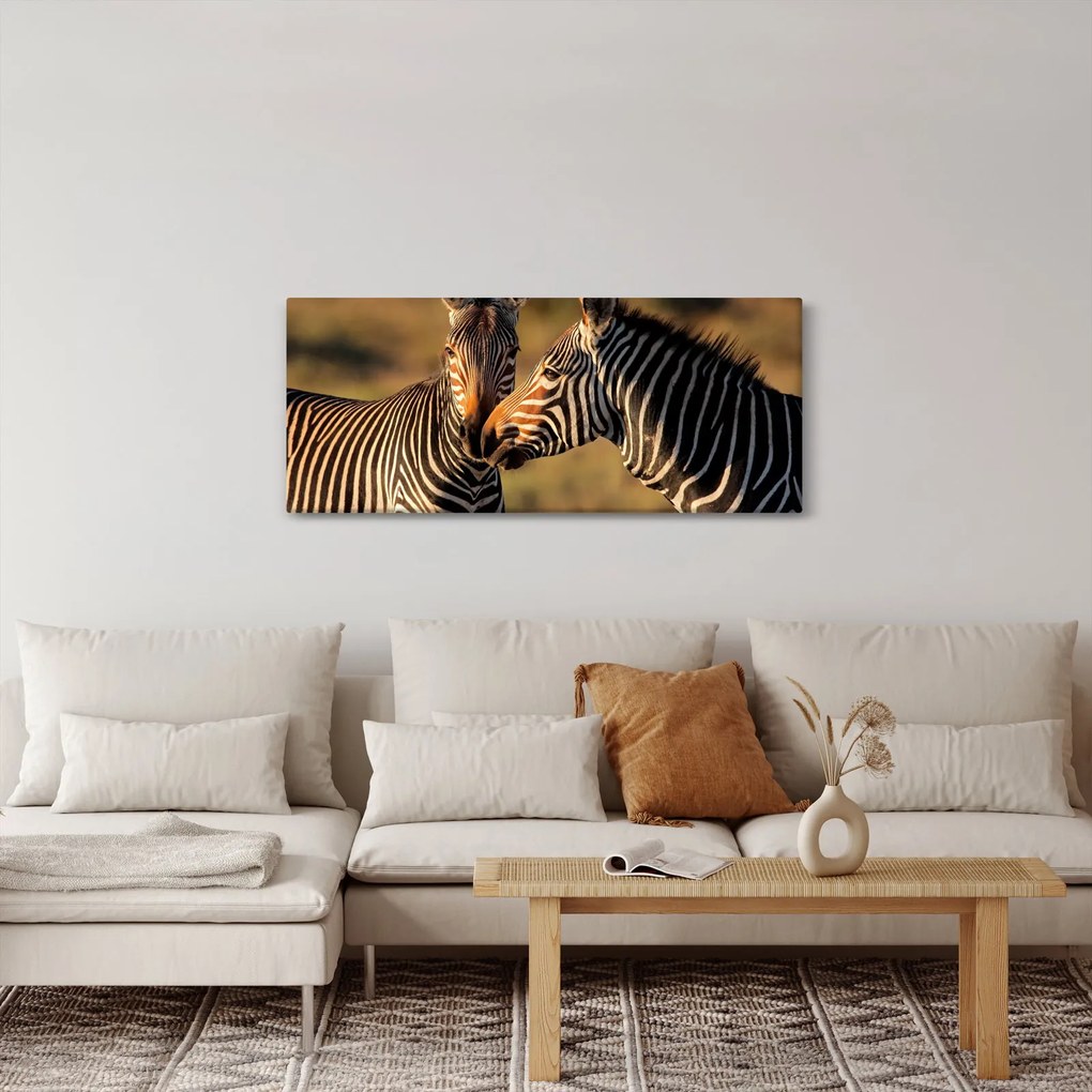 Obraz - Dve zebry (120x50 cm)