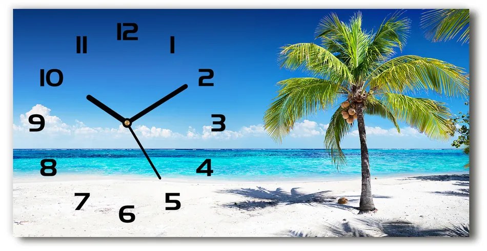 Vodorovné Sklenené hodiny na stenu Tropická pláž pl_zsp_60x30_f_102463727