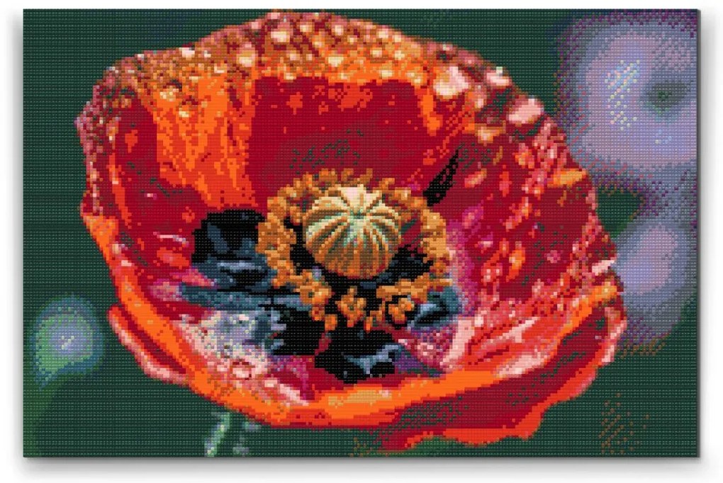 Gario Diamantové maľovanie Kvet maku Rozmery: 60 x 40 cm, Rámovanie: Iba zrolované plátno, Diamanty: Okrúhle
