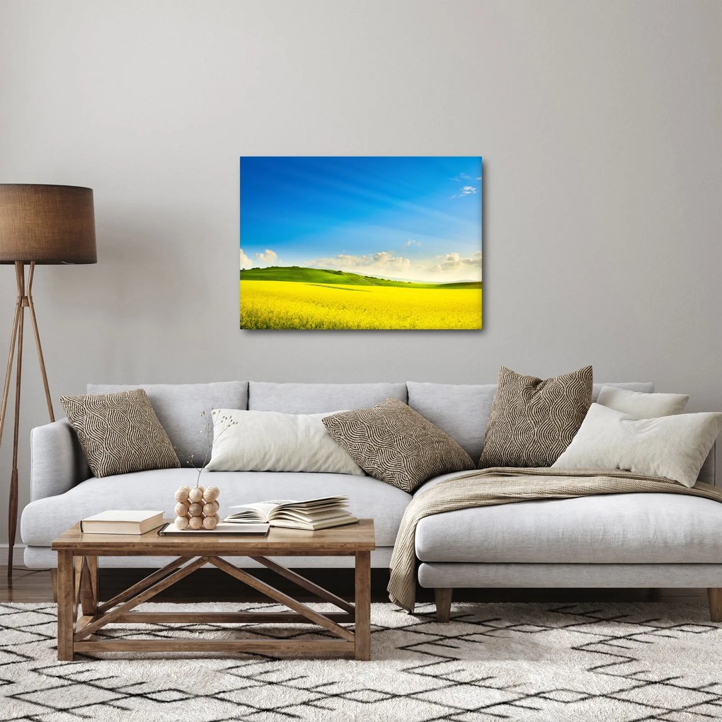 Obraz - Jarné nebo (70x50 cm)