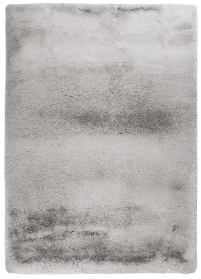 Lalee Kusový koberec Eternity 900 Silver Rozmer koberca: 80 x 150 cm