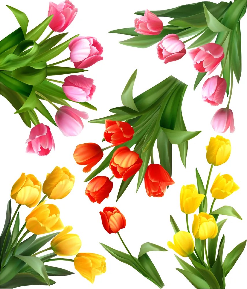 60x70cm Tulipány - textilná nálepka na stenu