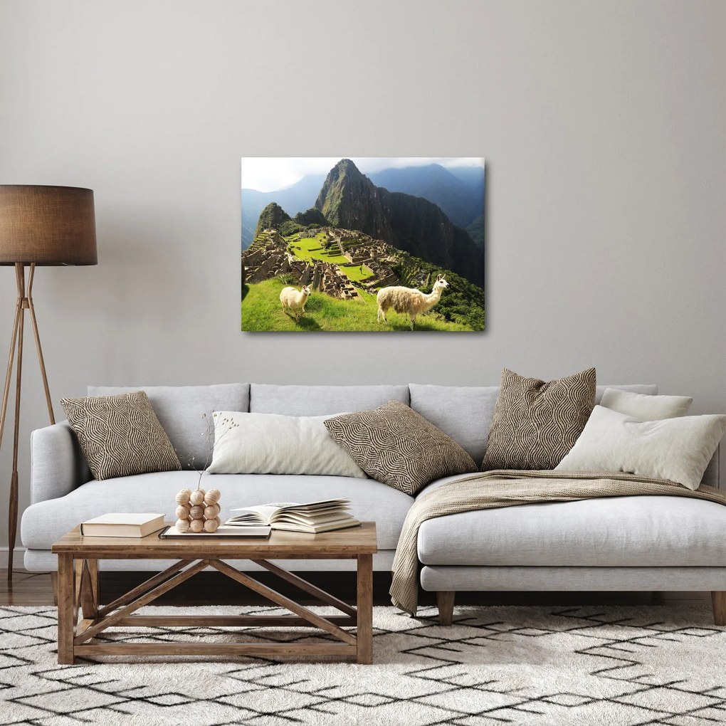Obraz - Machu Picchu (70x50 cm)