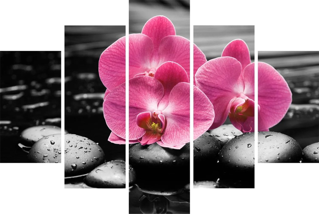 Obraz - Ružové orchidey (150x105 cm)