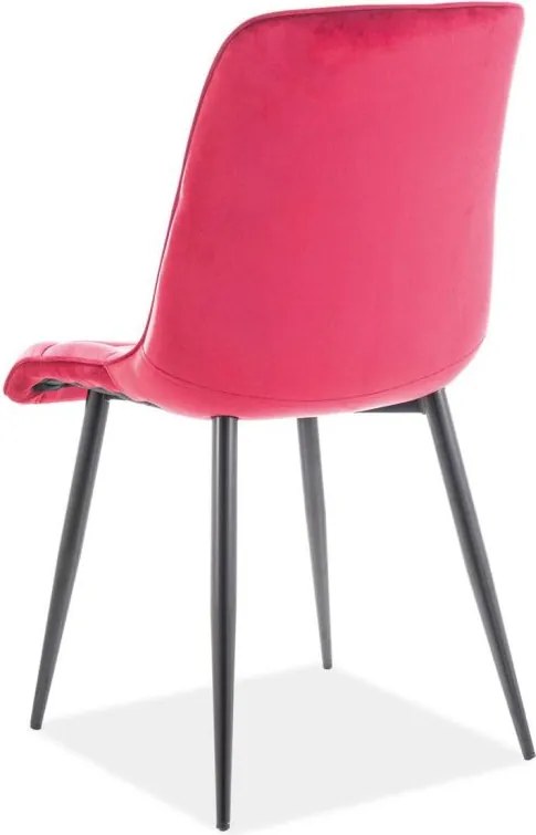 SIGNAL MEBLE Jedálenská stolička CHIC VELVET, čierny mat/béžová bluvel 28