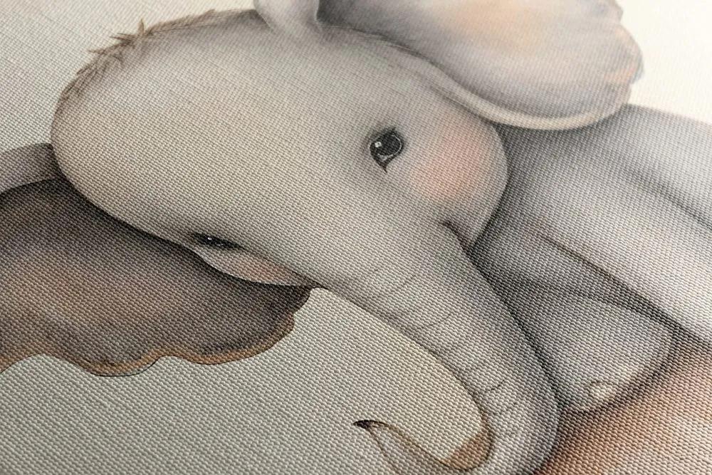 Obraz zasnený sloník