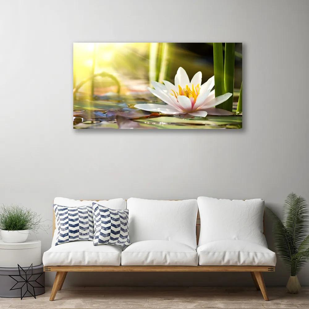 Obraz Canvas Kvet vodné lilie 140x70 cm
