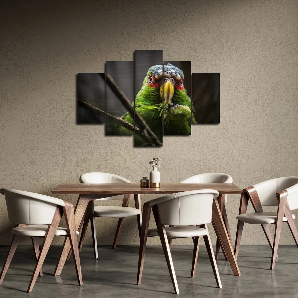Obraz papagája (150x105 cm)