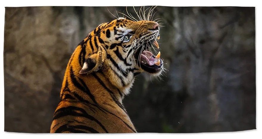 Sablio Uterák Revúci tiger - 50x100 cm